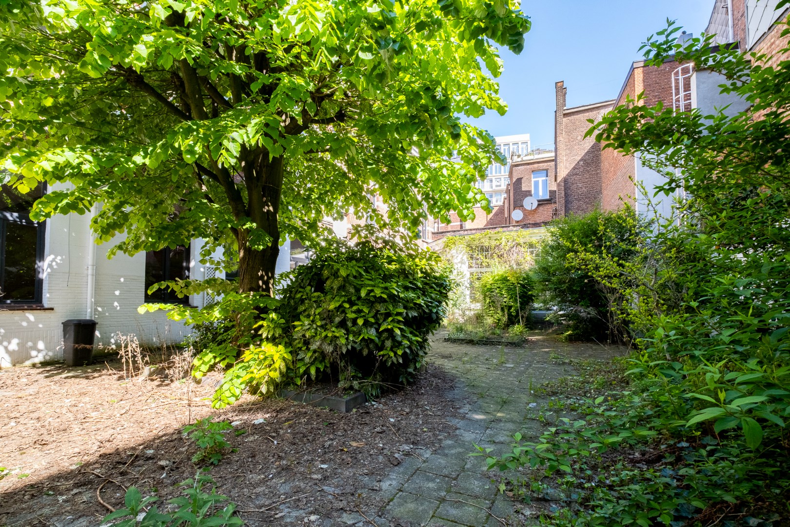 Commercieel te huur in Antwerpen - foto 3