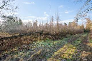 Investeren in een bosgrond? Meer en meer kopers overwegen dit om even de rust op te zoeken, hout te sprokkelen en te genieten van de natuur.Het...
