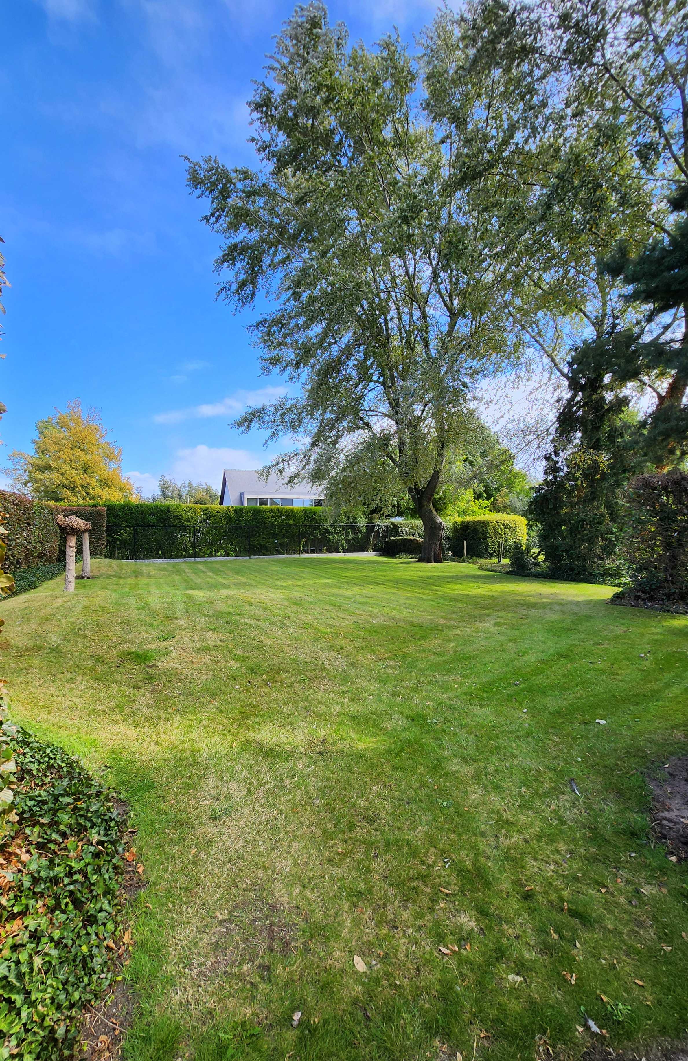 Land for sale in Retie - photo 1