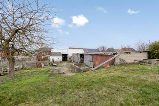 In een rustige, landelijke dorpsomgeving te Nerem (Tongeren) vind je deze ruime hoevewoning met binnenkoer en rondom meerdere stallen: ideaal voor...