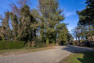 Terrain à vendre à Nijlen