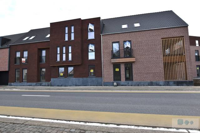 Project te koop in Berlaar