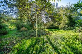 Land for sale in Blégny