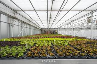 Commercial à vendre à Lochristi