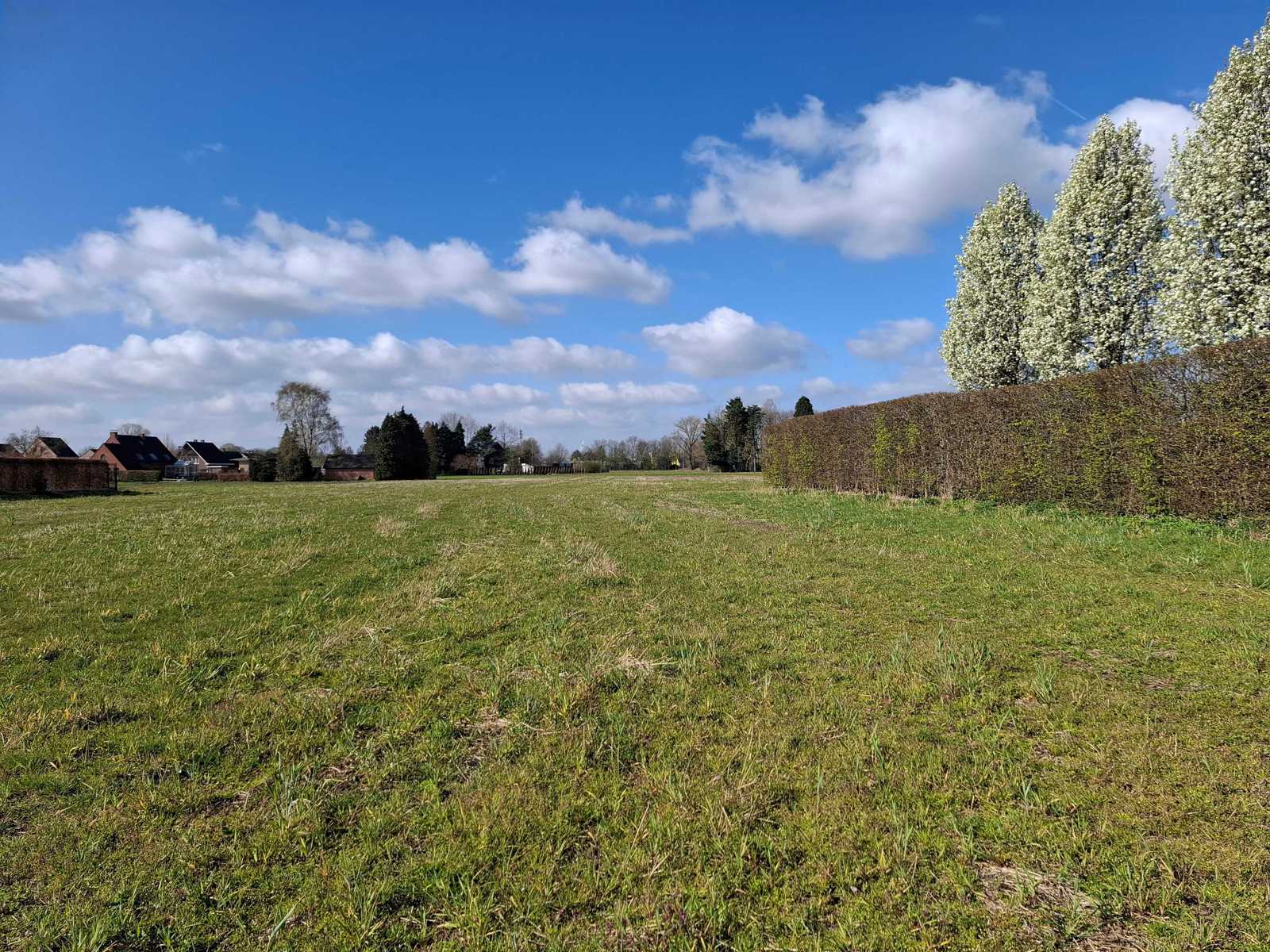 Unieke bouwgrond in het centrum van Geel voor open bebouwing - foto 4