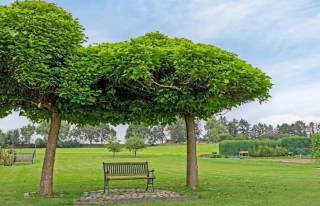 Mooi perceel bouwgrond te Huldenberg, met een oppervlakte van 7are 62ca en achteraan een fantastisch zicht op natuurgebied! <br />Dit perceel is geschikt voor een open bebouwing met een straatbreedte van 17 meter.<br />Uitermate gunstige locatie, centraal tussen Overijse en Leuven, nabij openbaar vervoer en niet gelegen in een risicozone voor overstromingen.<br /><br />Te bouwen constructie: <br />- Voorgevelbreedte van max. 10m.<br />- Bouwdiepte in geval van een gelijkvloerse verdieping: max. 20m<br /> Bouwdiepte in geval van 2 bouwlagen: gelijkvloers max. 15m en 12m op de verdiepingen. <br />- Plat dak of zadeldak toegestaan (dakhelling tussen 25° en 50°)<br />- Kroonlijsthoogte van 6m (vanaf grondpeil) <br />- Zijdelingse bouwvrije strook van 3,5m <br />- Bouwzone op 9 + 8 meter uit de as van de straat <br /><br />Meer informatie op kantoor! <br />