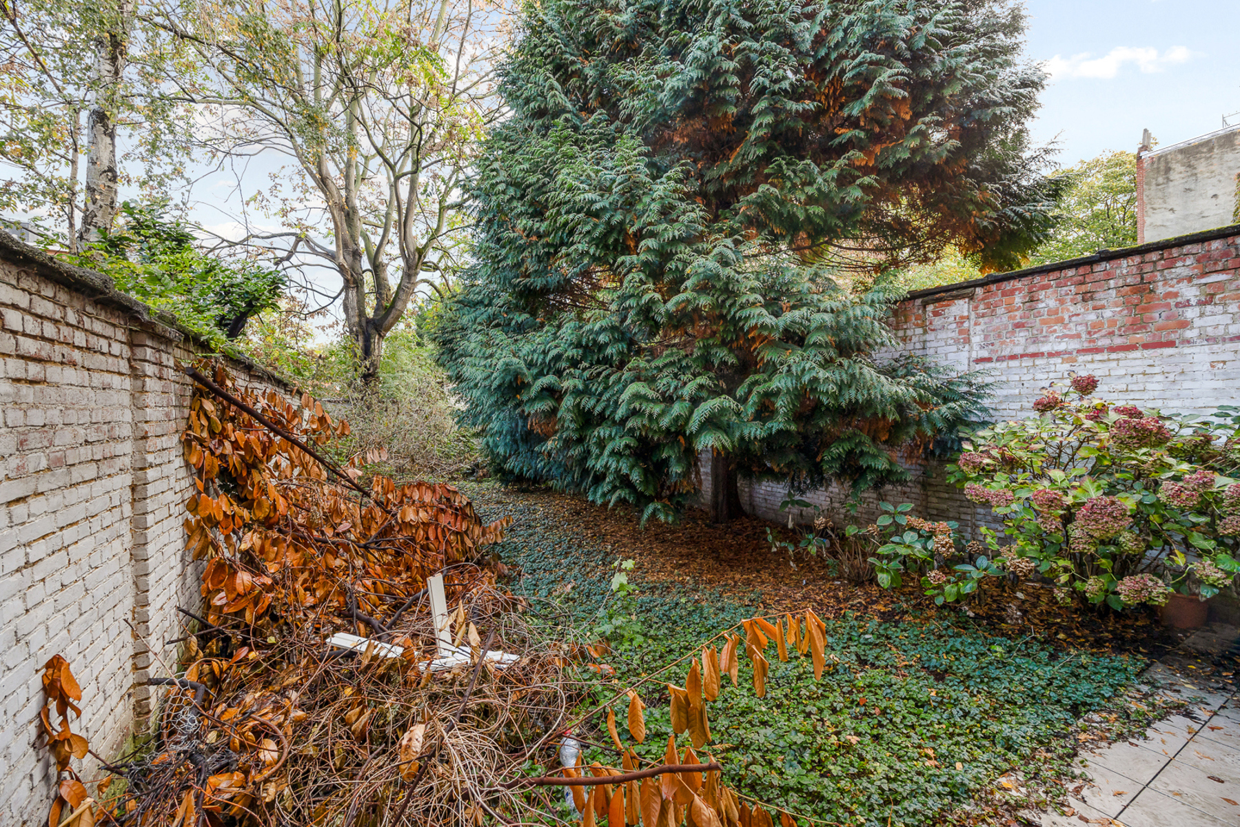 APPARTEMENT MET UNIEKE TUIN ANTWERPEN ZUID - foto 4