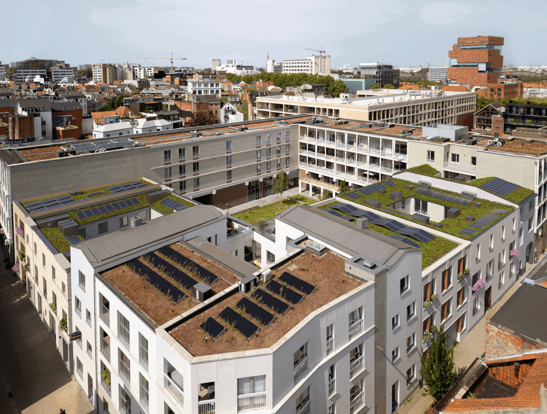 ANTWERPEN CENTRUM - FALCONHOVEN - foto 1