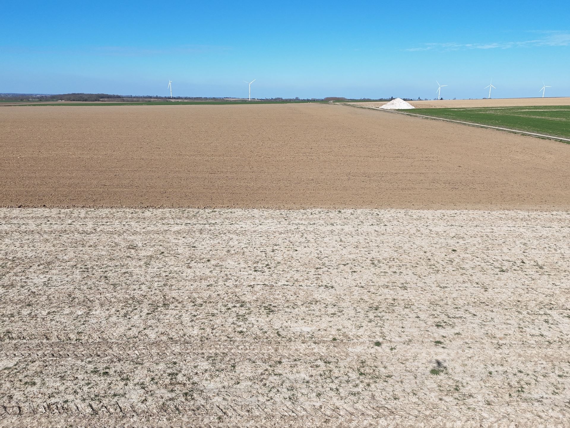 Groot perceel landbouwgrond - BLOK D - foto 5