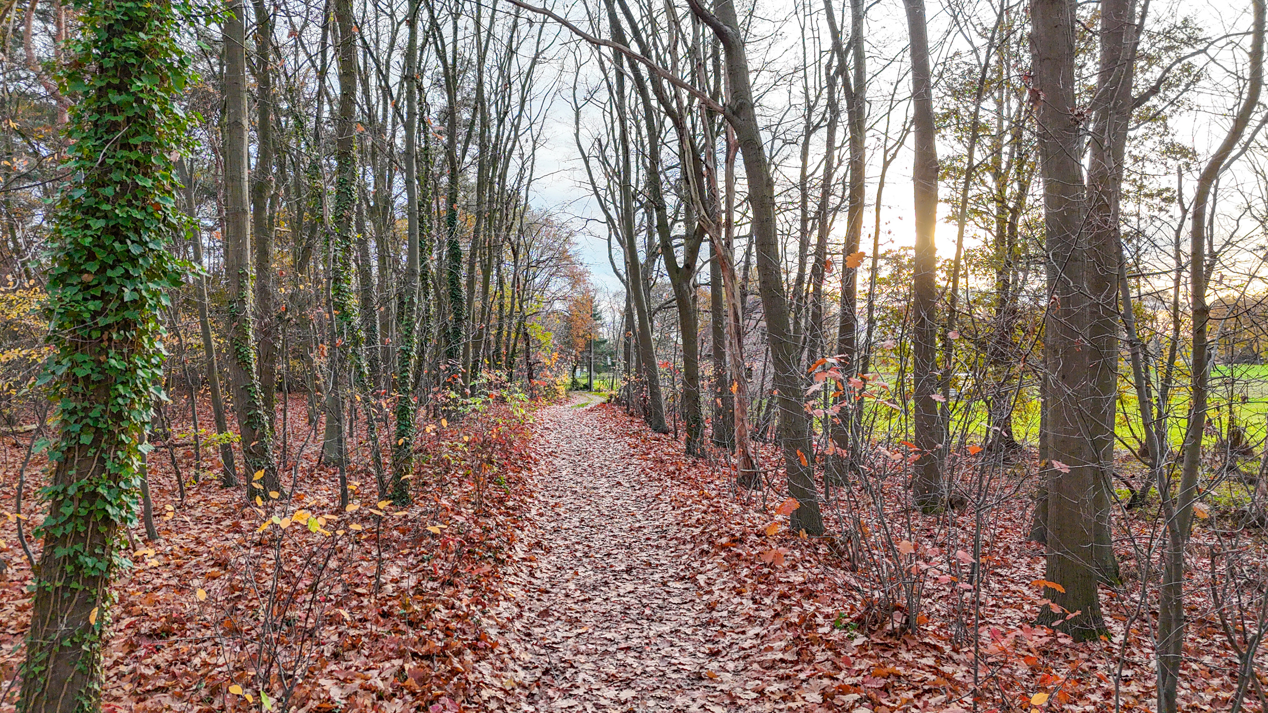 Exclusieve hoeve op 40are met bosrijke ligging te Paal! - foto 5