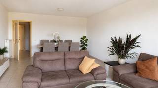 Appartement à louer à Stabroek