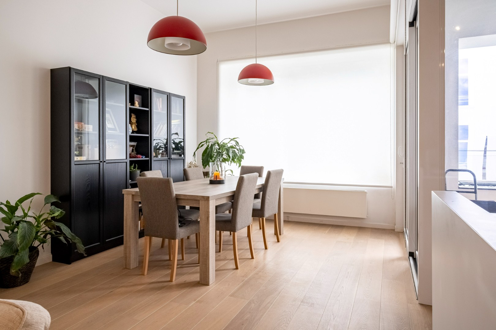 Gemeubeld appartement op het bruisende Zuid ! - foto 4