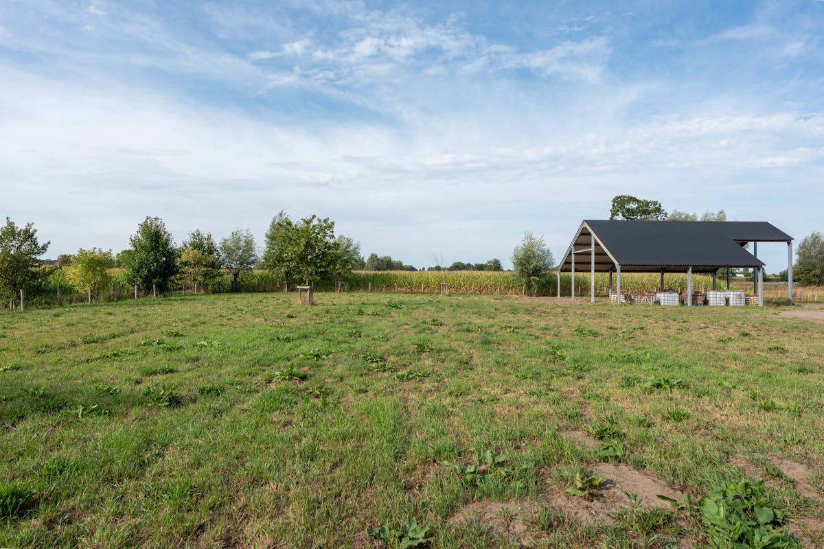 Idyllisch gelegen nieuwbouw huis te Moerkerke (Damme) - foto 4