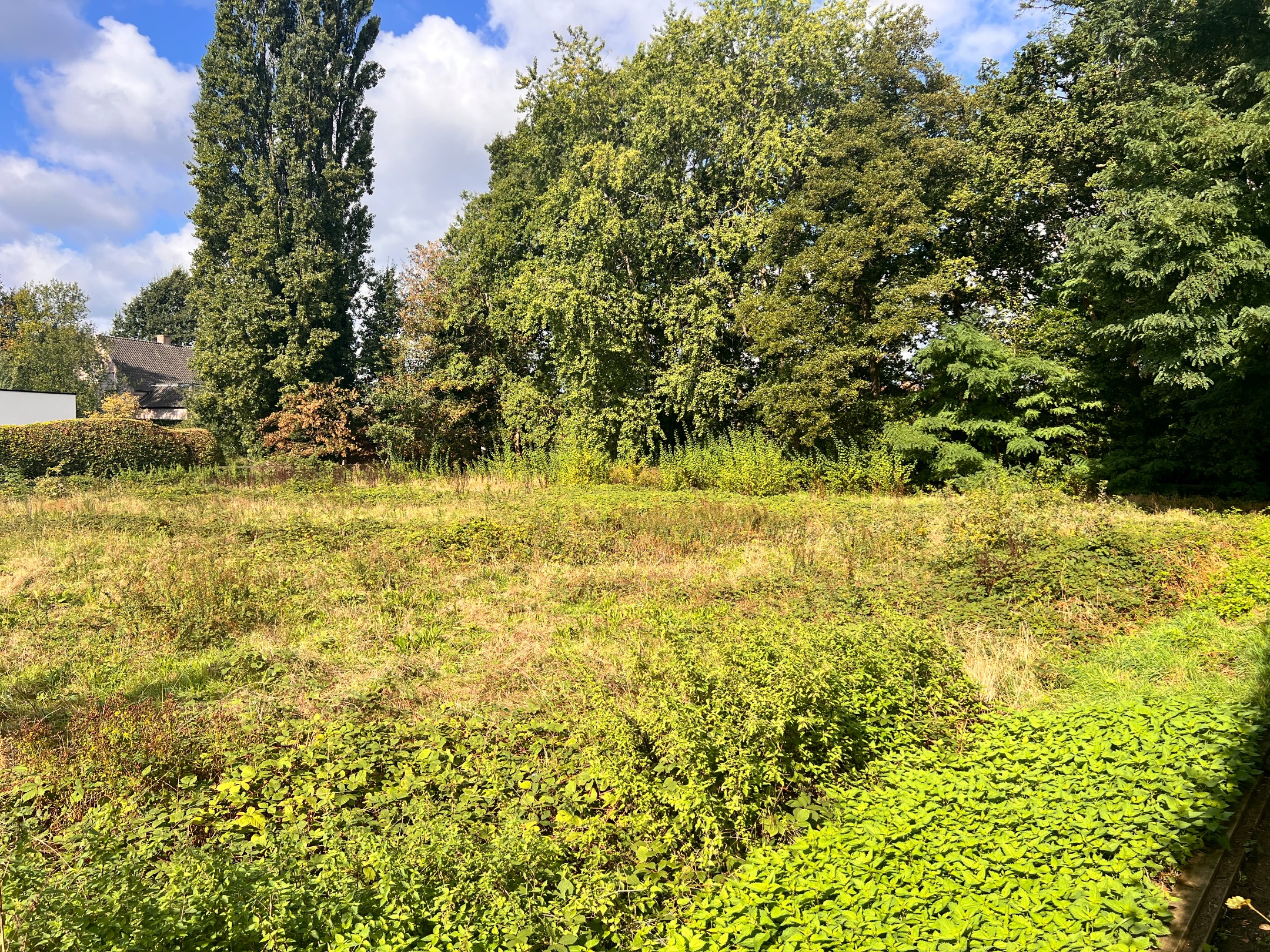 Bouwgrond ca. 2.147 m², voor 1 vrijstaande eengezinswoning. - foto 5