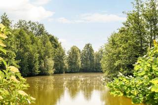 <p>Midden het groen, in alle rust en omringd door natuur, bevindt zich deze uitzonderlijke villa op een unieke locatie aan een schilderachtige Scheldearm. Een zeldzame eigendom op een terrein van bijna 10.000 m², ideaal voor wie op zoek is naar privacy, charme en exclusief wonen nabij de Vlaamse Ardennen.<br /><br />De lichtrijke villa geniet van prachtige uitzichten op de omliggende natuur en biedt een warme, kwalitatieve afwerking met onder meer marmeren vloeren, parket en een gezellige open haard. Dankzij de royale leefruimtes, meerdere terrassen, hobbymogelijkheden en inpandige dubbele garage combineert deze woning comfort en karakter op hoog niveau.<br /><br />Een unieke kans voor liefhebbers van rust, ruimte en natuur, met een vlotte verbinding naar Ronse, Oudenaarde en Doornik.<br /><br />Te koop via Immo Beguin, uw vastgoedexpert sinds 2009, met kantoren in Ronse, Waregem, Kortrijk, Deinze, Doornik en Lessen.</p>