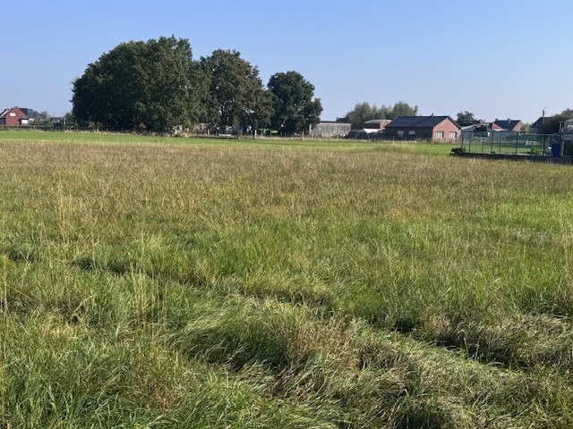 Lot 5 bouwgrond voor OB - foto 5