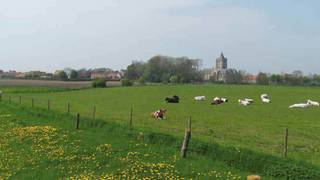Terrain à vendre à Alveringem