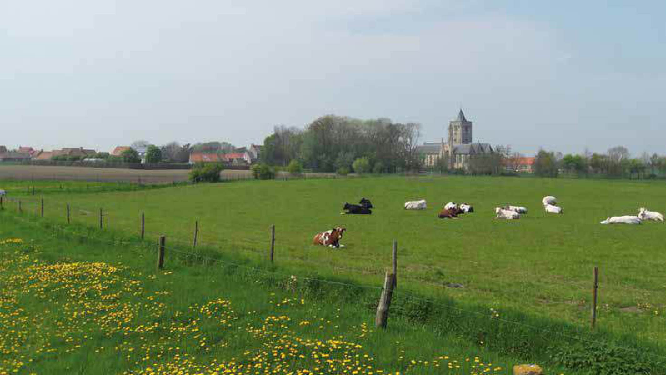Terrain à vendre à Alveringem