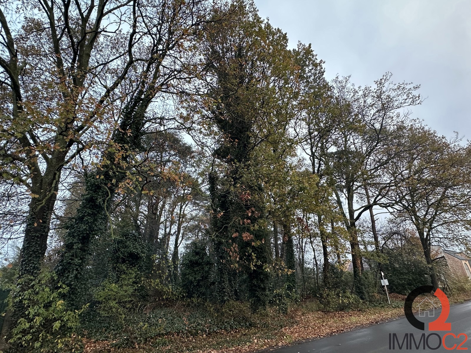 Grond te koop in Beringen - foto 3