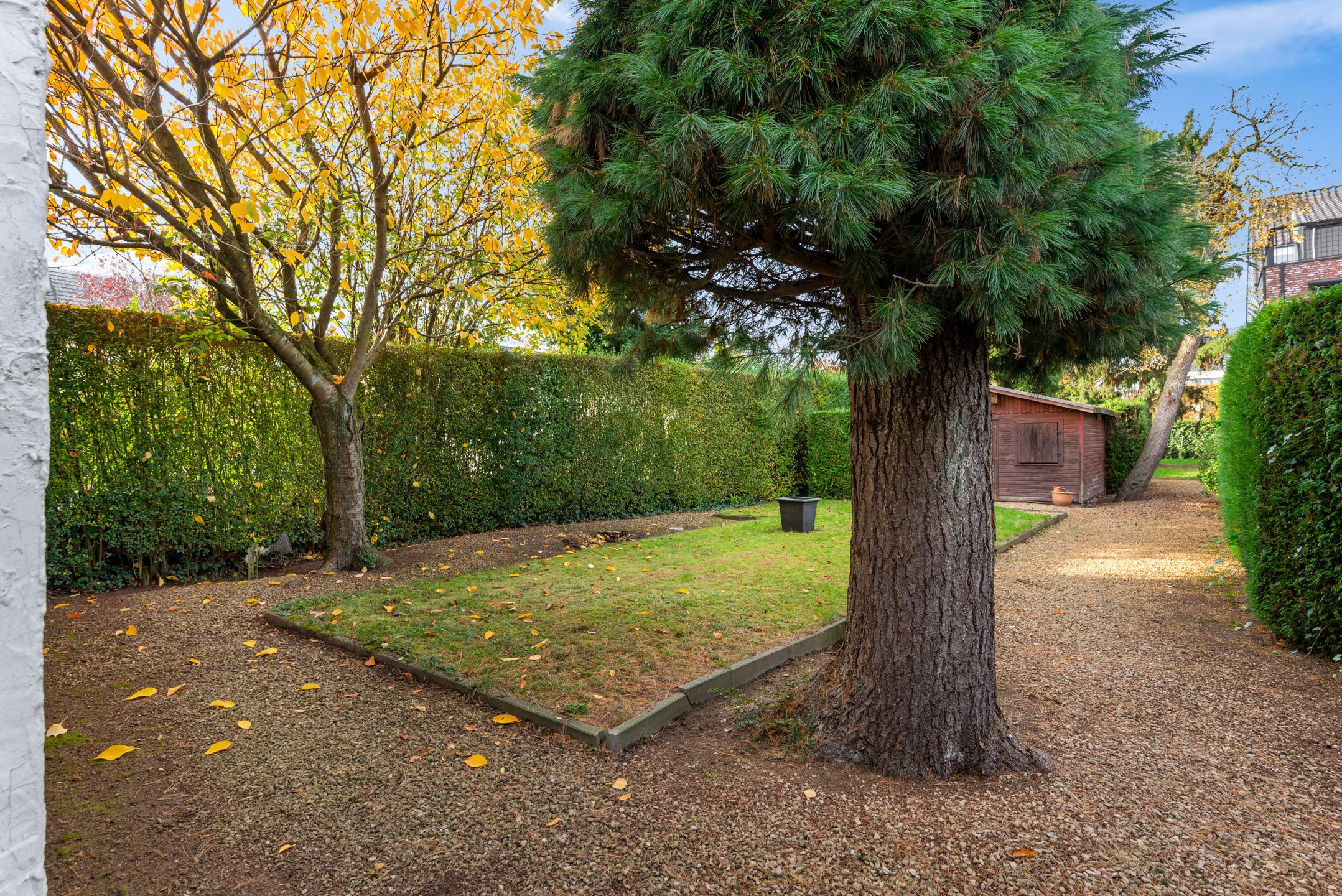 Maison à vendre à Wijnegem avec 3 chambres - photo 5