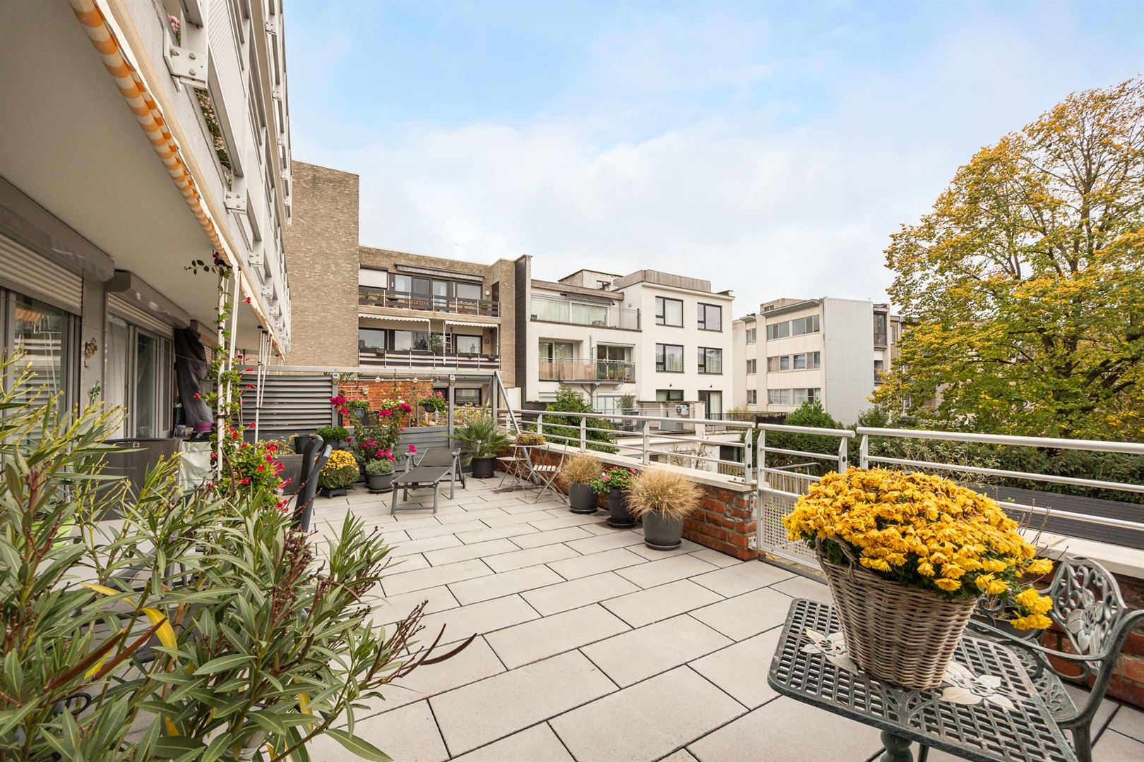 Ruim appartement met daktuin aan de Schelde - foto 3