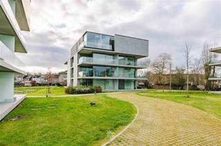 <p><span>SWIJNAARDE - Rijvisschestraat 132/0001- Looking for a quality apartment with parking for rent on the southern edge of Ghent? Then this apartment is for you. </span></p><p><span> </span></p><p><span>The main assets in a nutshell:</span></p><ul><li><span>Quality finishing </span></li><li><span>Curtains and lighting provided</span></li><li><span>Near approach roads (N60, E17, E40, R4) and public transport.</span></li><li><span>Spacious terrace and communal green garden</span></li><li><span>Includes large basement storage room + </span><span>car parking space</span></li></ul><p><span> </span></p><p><span>Layout:</span></p><p><span>Entrance hall with separate toilet, storage room, bedroom with connection to the bathroom with walk-in shower, living room with open kitchen equipped with all comfort and terrace overlooking greenery. </span></p><p><span>This apartment is qualitatively finished and is equipped with all comforts.</span></p><p><span> </span></p><p><span>The large windows provide an abundance of natural light and an open feeling.  </span></p><p><span>The apartment is equipped with lighting and custom made curtains</span></p><p><span>Includes large basement storage + car parking space.</span></p><p><span> </span></p><p><span>Rent: € 1050 + € 85 general costs maintenance complex/lift. </span></p><p><span>Domicile obligatory. Available from 16/03/2026.</span></p><p><span> </span></p><p><span>Contact Axel Lenaerts estate agents for more info or a visit via our website. </span></p><p><span> </span></p>