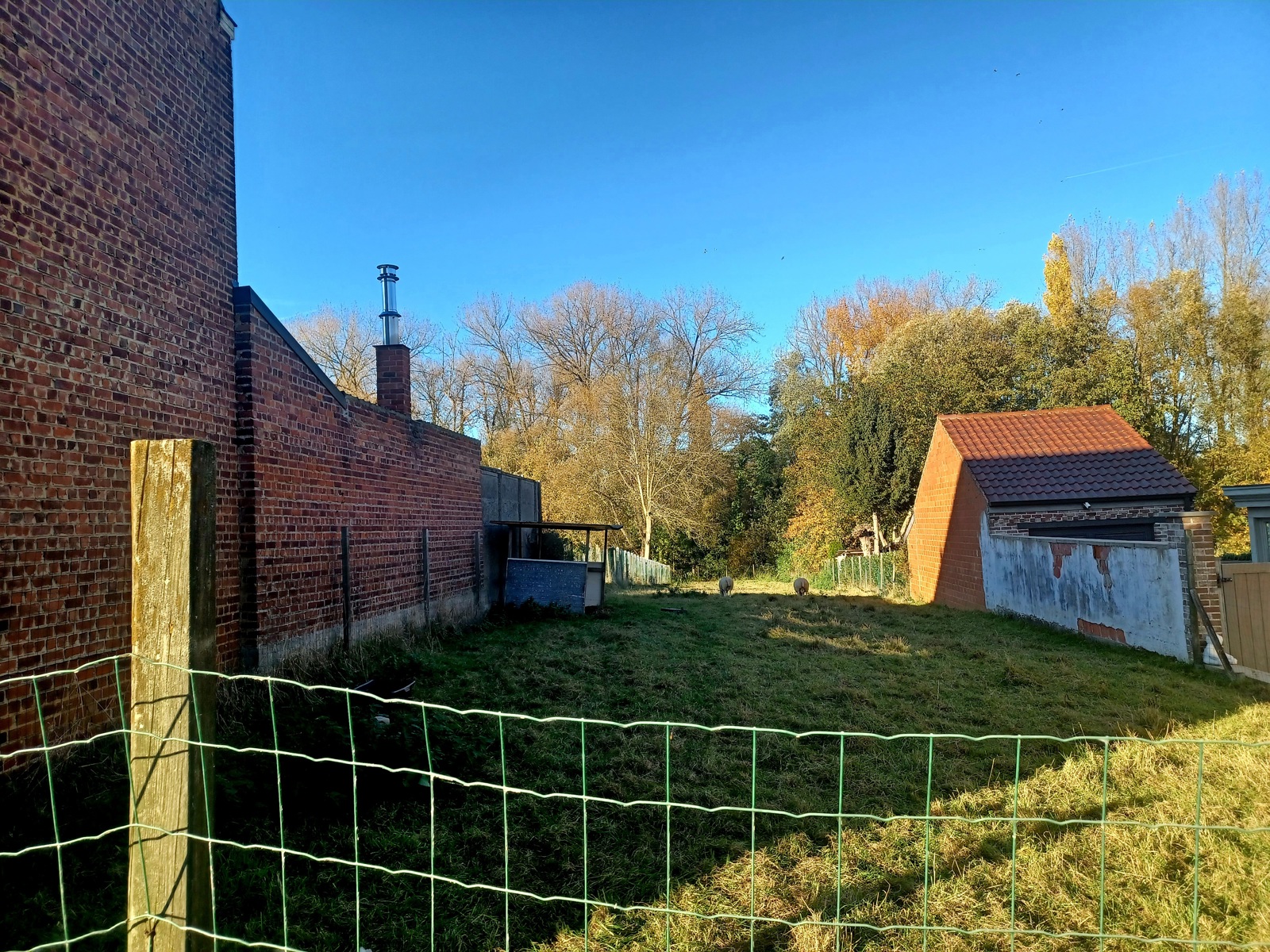 Land for sale in Denderleeuw - photo 3