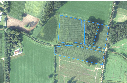 4 percelen bouwland + 1 bos - foto 1