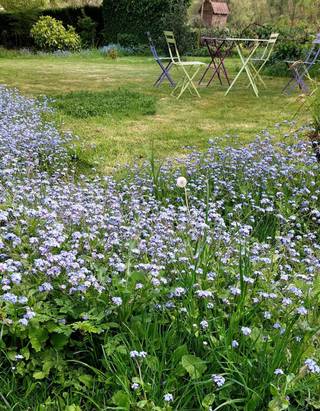 Op de grens met Herne en Kokejane, verscholen in het groen, vindt u deze bijzonder charmante woning met een prachtig aangelegde, natuurlijke tuin van maar liefst 12,53 aren. Hier geniet u van absolute rust, terwijl alle voorzieningen zich op amper vijf minuten afstand bevinden: station, grote winkels, apotheek, scholen (Nederlandstalig en Franstalig), de A8/E429 Brussel–Doornik, én de Golf Club van Edingen met zijn beroemde park en manege /ponyclub op 200m.
Het huis is zeer lichtrijk en baadt van ’s morgens tot ’s avonds in de zon. De tuin is volledig afgesloten en biedt een idyllische vijver, een tuinhuis, carport en een gevoel van volledige privacy.  Op het gelijkvloers: inkomhal met vestiaire en toilet, een grote leefruimte +/-53m², grote volledig ingerichte woonkeuken met aanpalende berging, slaapkamer ( 12m²) en garage.  Op de verdieping geeft de nachthal toegang tot 3 ruime kamers (33m²,15², 19m²), een grote badkamer (ligbad, dubbele lavabo, afzonderlijke douche) en toilet.
Deze woning biedt ook heel wat opslagmogelijkheden dankzij de garage en buitenberging/carport
Extra troeven: alarmsysteem, natuurlijke en onderhoudsvriendelijke tuin, rustige ligging met vlotte bereikbaarheid.
Een woning die rust, ruimte en charme combineert — klaar om uw nieuwe thuis te worden. Voor meer info of bezoek contacteer Sophie 0496/71.50.59