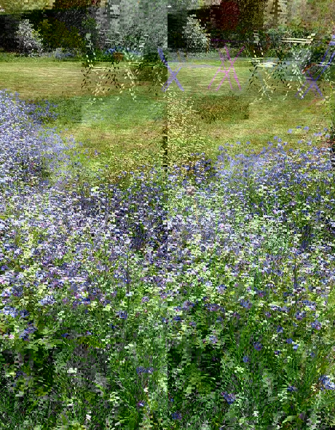 Maison à vendre à Enghien avec 4 chambres - photo 3
