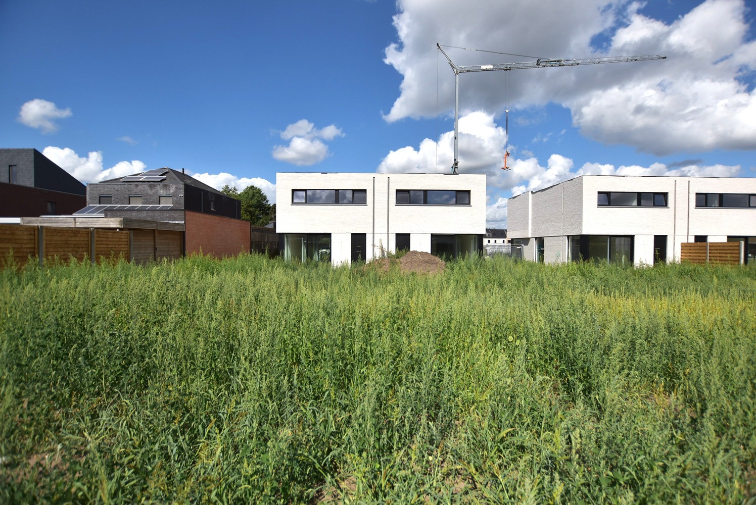 Maison à vendre à Laakdal avec 3 chambres - photo 1