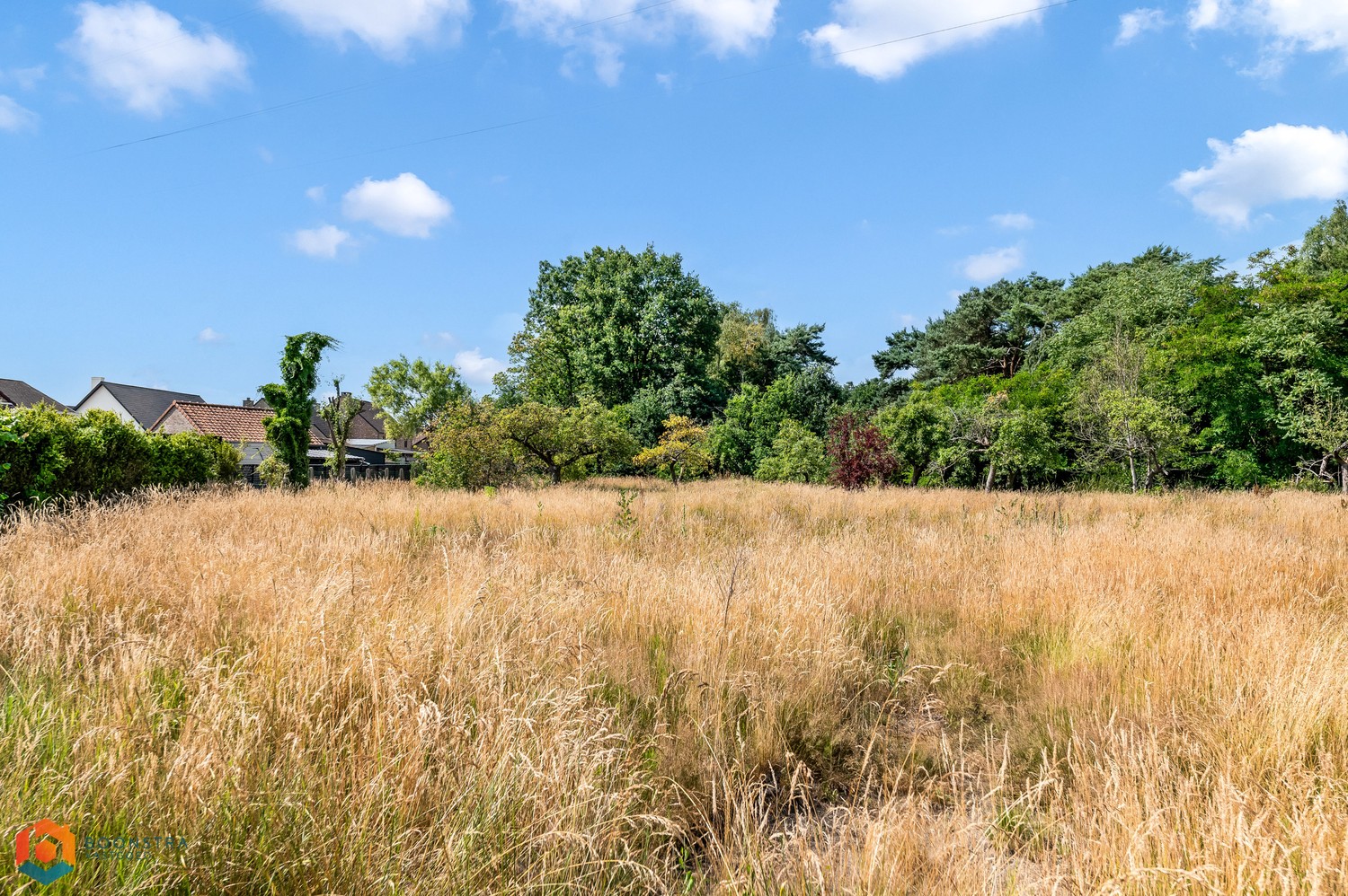 Bouwgrond van 1070 m² voor open bebouwing te Tessenderlo-Ham - foto 4