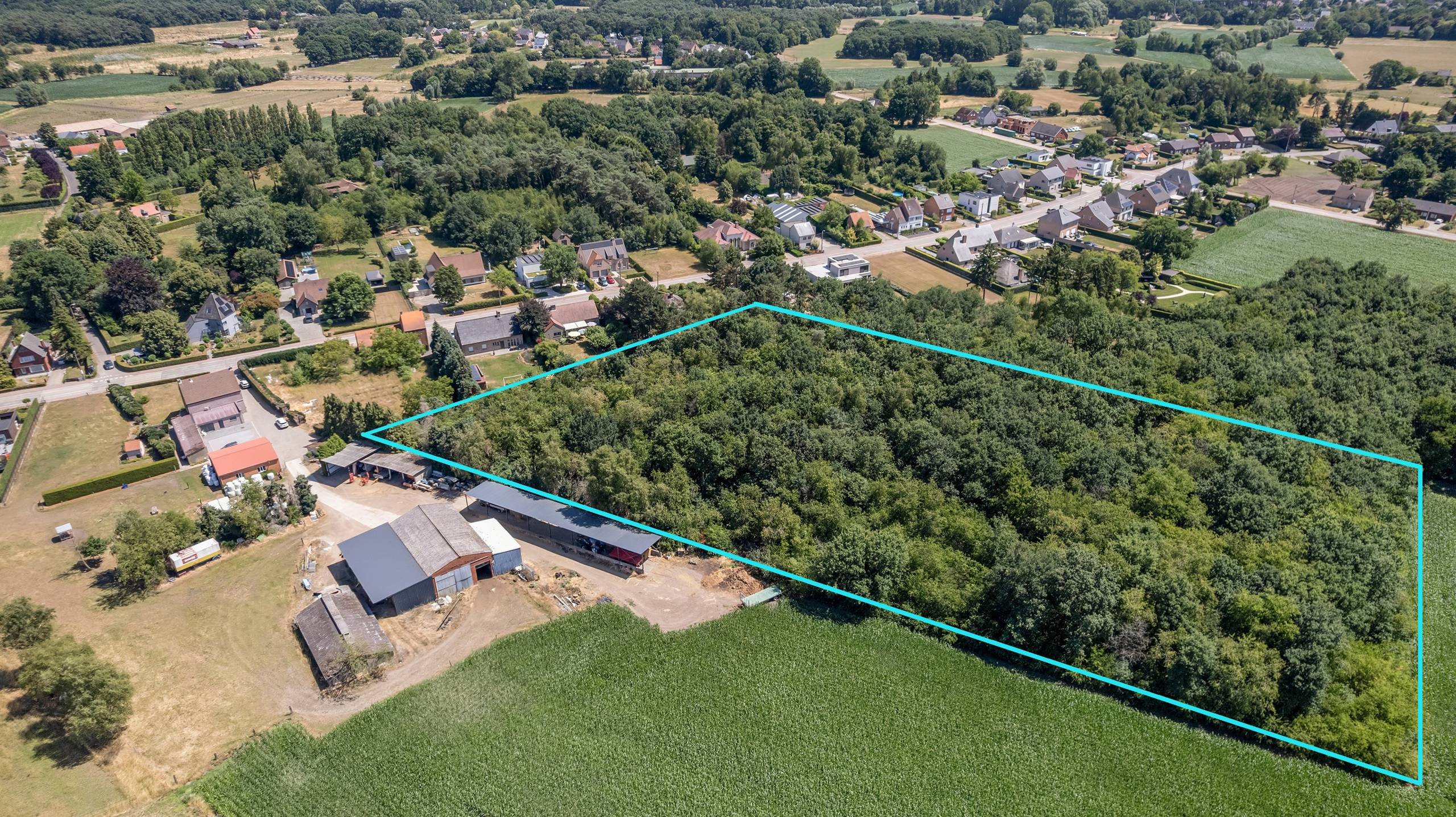 Perceel bos "Hoogenbeemorter" op 14.698 m² te Grasheide. - foto 3