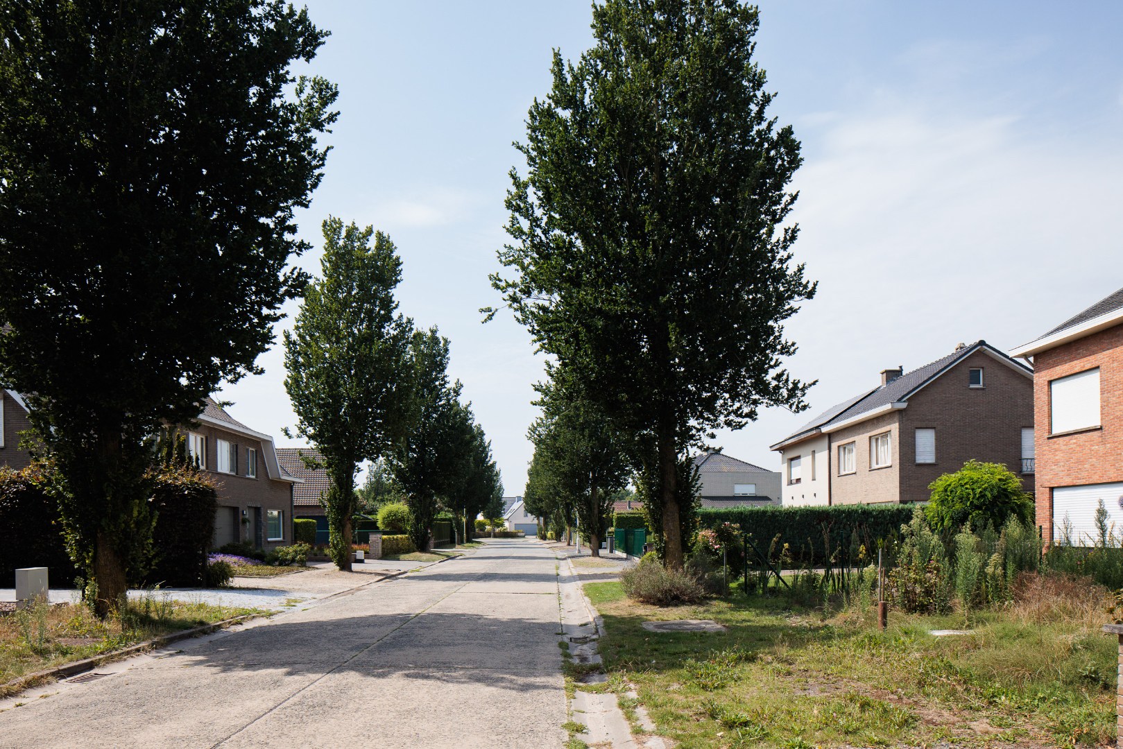 Land for sale in Lochristi - photo 3