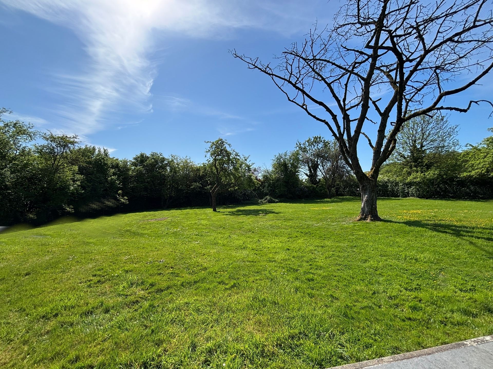 Land for sale in Soignies