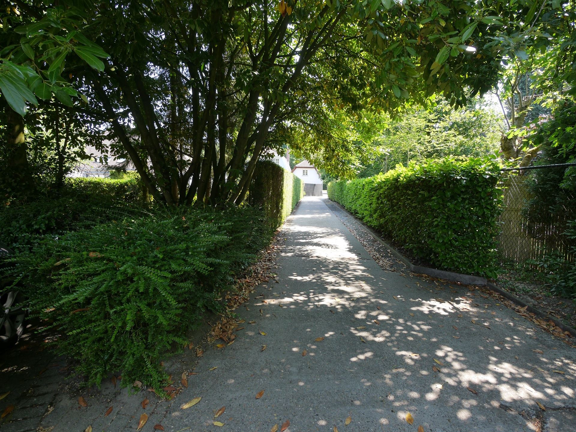Kantoren in een rustige groene omgeving te Edegem - foto 5
