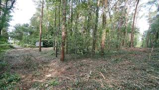 Rustig en residentieel gelegen bouwgrond van 31a10ca met aanpalende bosgrond van 37a50ca. Gelegen op het einde van een zijtak van de Tremelobaan.<br />Maximum bebouwbare oppervlakte: 250m². <br />Afmetingen: circa 60m x 115m.<br />Maximum kroonlijsthoogte: maximum 3,5m = verdieping onder dakhelling te voorzien.<br />Goedgekeurde verkaveling. Geen bouwverplichting.<br />Opmetingskosten ten laste van koper.<br />Adres: Tremelobaan (zijtak tussen nrs. 108 en 110A).<br />Plannen en voorschriften op https://www.schoeters.be/portefeuille/detail.php?item=b&amp;sorting=&amp;ref=10601<br />Stedenbouwinfo: woonpark = residentieel woongebied - verkavelingsvergunning - geen voorkooprecht - geen rechterlijke herstelmaatregel of bestuurlijke maatregel opgelegd. Perceelscore D. Geen risicozone voor overstromingen