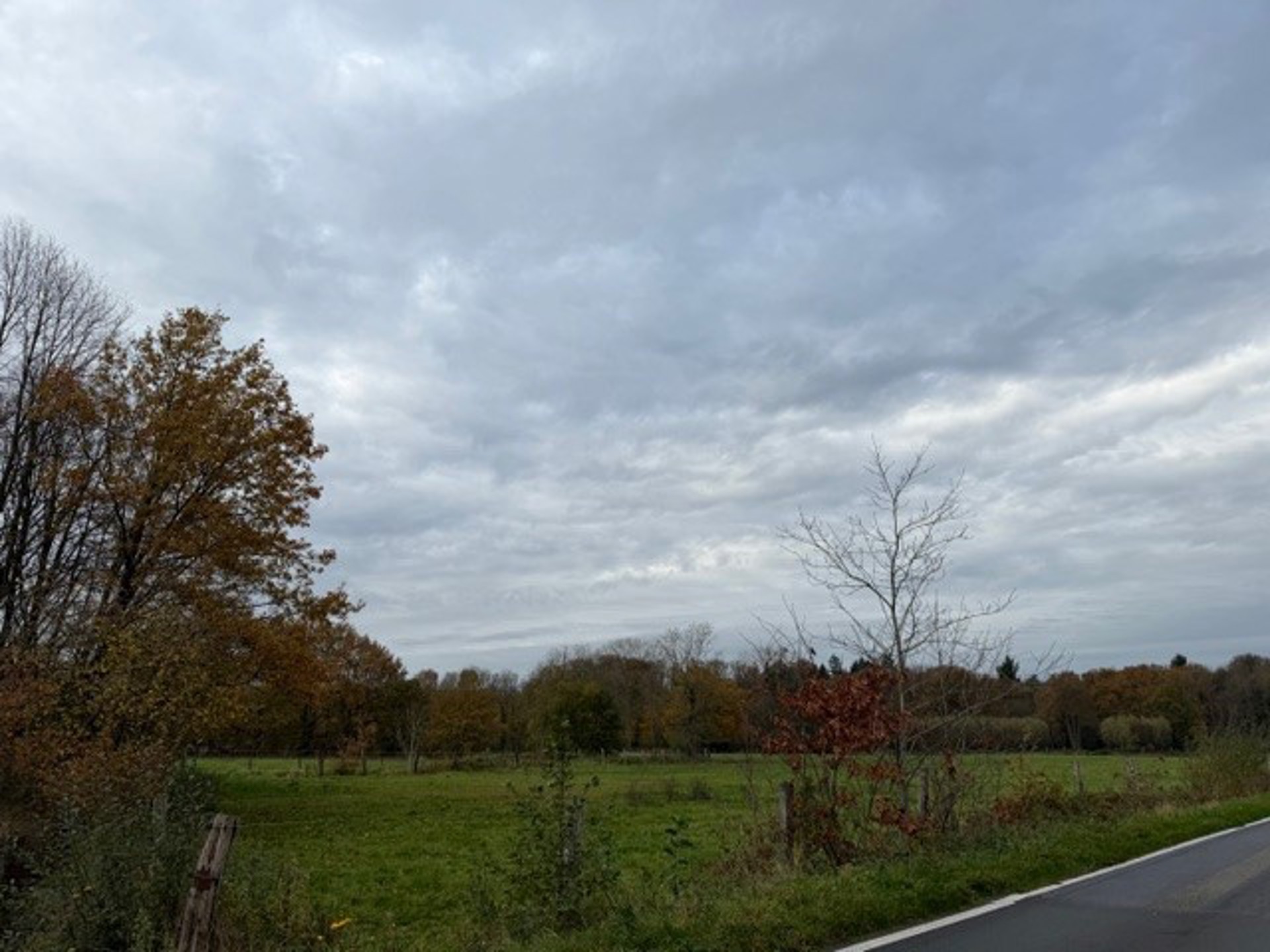 Landbouwgrond / Weide te koop – 22.359 m²! - foto 4