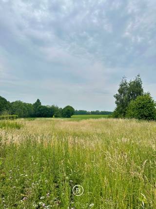Exclusief gelegen bouwgrond te Grimbergen, een uitzonderlijke kans op een perceel van 1.058 m² voor het realiseren van een open bebouwing...