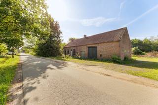 <h3>R<span>uime te renoveren hoeve met tal van mogelijkheden op uniek zuidperceel</span></h3>
<p><span>Deze karaktervolle woning is rustig en landelijk gelegen op een prachtig perceel met een unieke oppervlakte en geniet van een gunstige zuidoriëntatie, waardoor u de hele dag door van natuurlijke lichtinval en zon kunt genieten.</span></p>
<p><span>Op het gelijkvloers beschikt de woning over maar liefst ca. <strong>157 m² bruikbare oppervlakte</strong>, verdeeld over verschillende ruimtes. Dit biedt tal van mogelijkheden om de woning volledig naar eigen smaak en behoeften in te richten.</span></p>
<p><span>De eerste verdieping omvat een ruime <strong>zolder van ca. 95 m²</strong>, waar eenvoudig meerdere slaapkamers, een hobbyruimte, bureau of andere bijkomende leefruimtes kunnen worden gecreëerd.</span></p>
<p><span>De woning is gelegen in agrarisch gebied en werd in 2003 geregulariseerd als zonevreemde woning. </span></p>
<p><span><strong>POSITIEVE ASPECTEN</strong></span></p>
<ul>
<li><span>Uniek perceel met mooie oppervlakte</span></li>
<li><span>Rustige en landelijke ligging</span></li>
<li><span>Zuidgerichte oriëntatie</span></li>
<li><span>Ca. 157 m² bruikbare oppervlakte op het gelijkvloers</span></li>
<li><span>Ca. 95 m² uitbreidbare zolderruimte</span></li>
<li><span>Zonevreemde woning</span></li>
</ul>
<p><span>Een ideale opportuniteit voor wie op zoek is naar ruimte, rust en een eigendom met uitzonderlijk veel potentieel.</span></p>