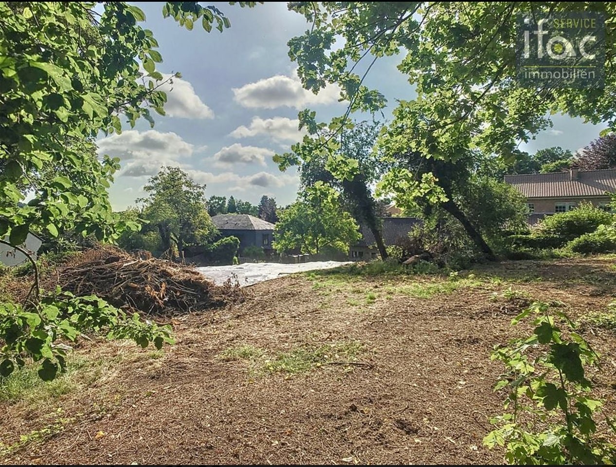 OPEN KLASSIEKE WONING IN EEN RUSTIGE OMGEVING - foto 3