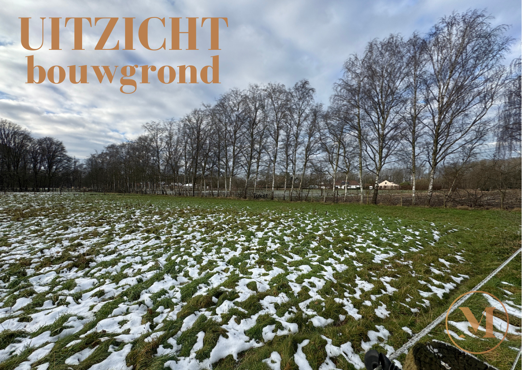 Grond te koop in Beringen - foto 4