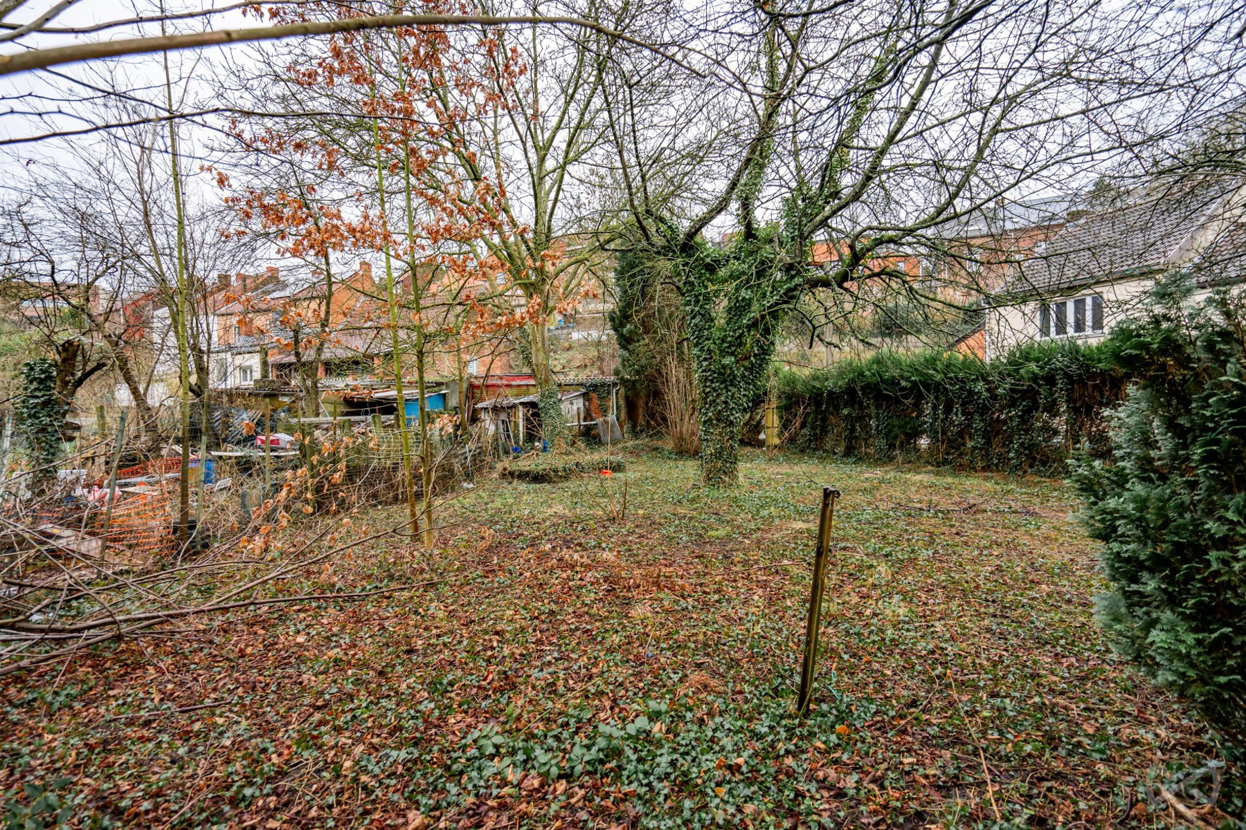 Grond te koop in Colfontaine - foto 5