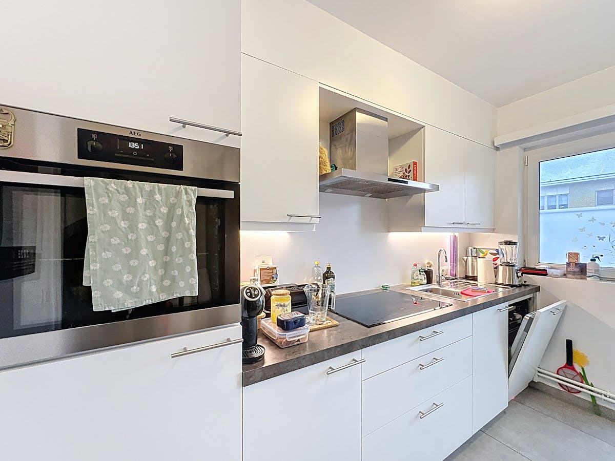 Appartement met 2 slaapkamers en 2 terrassen te huur in Wilrijk - foto 4