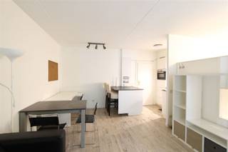 <p><span>Te huur: studio met aparte badkamer in hartje Antwerpen </span></p><p><span> </span></p><p><span>Ontdek deze studio in het hart van Antwerpen, perfect gelegen op loopafstand van de Grote Markt en dichtbij het Steen. Deze praktische en knus ingerichte woning biedt alles wat je nodig hebt voor comfortabel stadswonen. De open indeling zorgt voor een ruimtelijk gevoel, met een lichte woonkamer die dankzij grote ramen veel natuurlijk licht binnenlaat. </span></p><p><span> </span></p><p><span>Het slaapgedeelte is slim afgeschermd door kasten, wat zorgt voor privacy en een efficiënte indeling van de ruimte. De moderne keuken is volledig uitgerust, inclusief inbouwapparatuur zoals een kookplaat, koelkast en oven. De aparte badkamer heeft een ligbad.</span></p><p><span> </span></p><p><span>Gelegen in een levendige buurt met musea, restaurants en andere voorzieningen in de directe omgeving, biedt dit appartement de perfecte uitvalsbasis voor het verkennen van de stad. </span></p><p><span> </span></p><p><span>In de prijs inbegrepen: water, verwarming, onderhoud en verbruik van de gemene delen. Elektriciteit is individueel. </span></p>