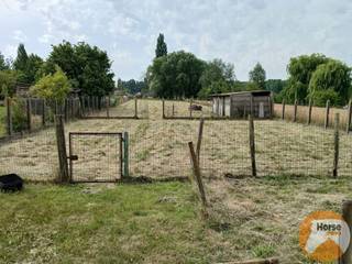 KIJKDAG ZAT. 2/08/25 VAN 8U TOT 11U30 (OP AFSPRAAK)HAALTERT - Bent u op zoek naar een woning met karakter, ruimte en vooral ongelooflijk veel...