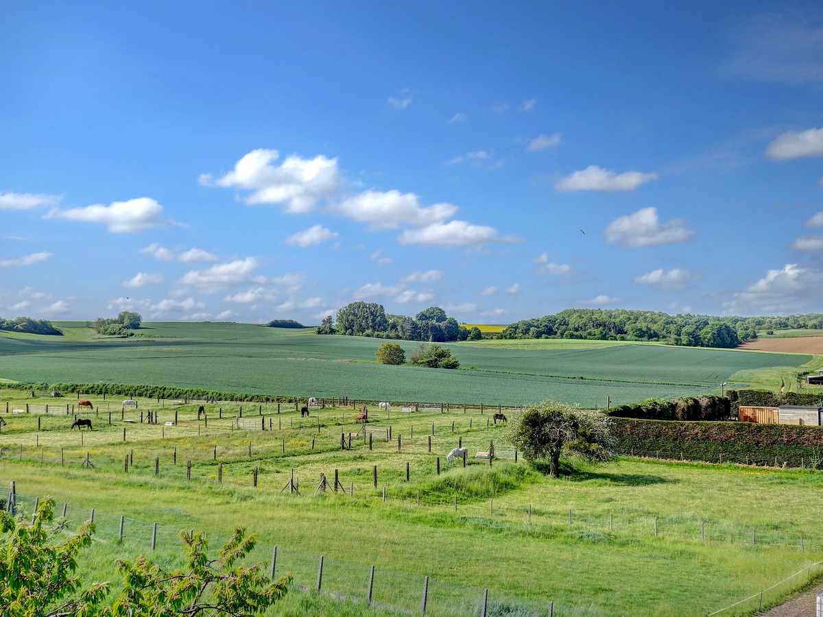 House for sale in Meerbeek with 5 bedrooms - photo 5