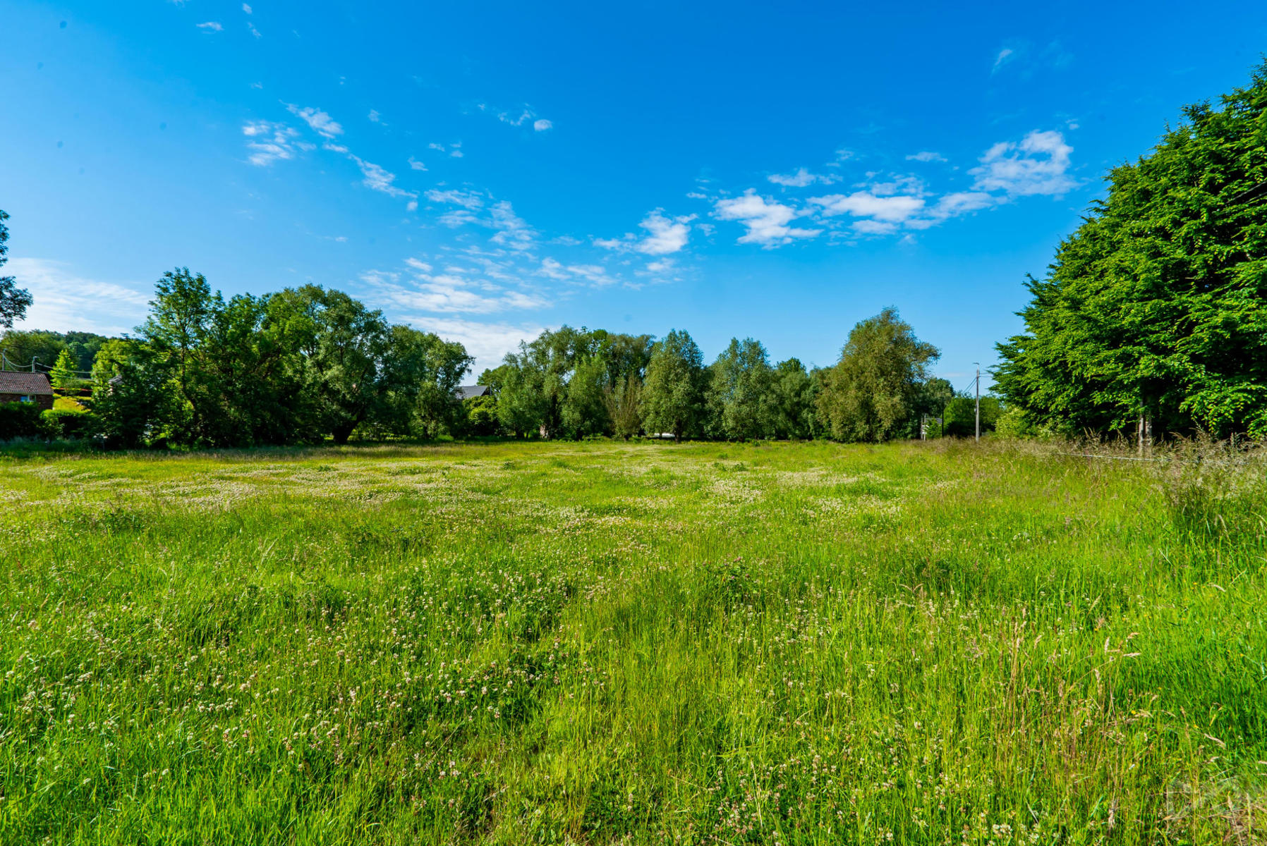 Land for sale in Villers-le-Bouillet - photo 4