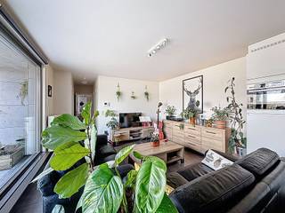 Appartement à louer à Haaltert