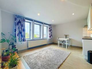 <p><span>Dit gezellig appartement van 30m² geniet van een uitstekende ligging nabij belangrijke invalswegen, Campus De Sterre, het station en diverse haltes van het openbaar vervoer. Gelegen op de derde en hoogste verdieping van het gebouw, biedt deze woonst rust, privacy en een aangenaam uitzicht.</span></p><p><span>De lichtrijke leefruimte van 17,66 m² biedt voldoende ruimte om een gezellige woon- en eethoek in te richten. Aansluitend bevindt zich de praktische keuken, uitgerust met een spoelbak, dampkap, elektrisch kookvuur en koelkast.</span></p><p><span>De badkamer beschikt over een douchecabine, lavabo en toilet. Daarnaast bevindt zich een afzonderlijke slaapkamer waarin comfortabel plaats is voor een eenpersoonsbed en een kledingkast. <br />Dankzij deze aparte slaapruimte geniet u van extra wooncomfort.</span></p><p><span>Als bijkomend voordeel is er in het gebouw ruimte voorzien om een fiets te stallen.</span></p><p><span>Ideaal voor één persoon die op zoek is naar een goed bereikbare, comfortabele woonst op een centrale locatie in Gent. </span></p><p><span> </span></p><p><span>(Elektriciteit, gas en water worden afzonderlijk afgerekend, geen aansluiting wasmachine)</span></p><p><span> </span></p>